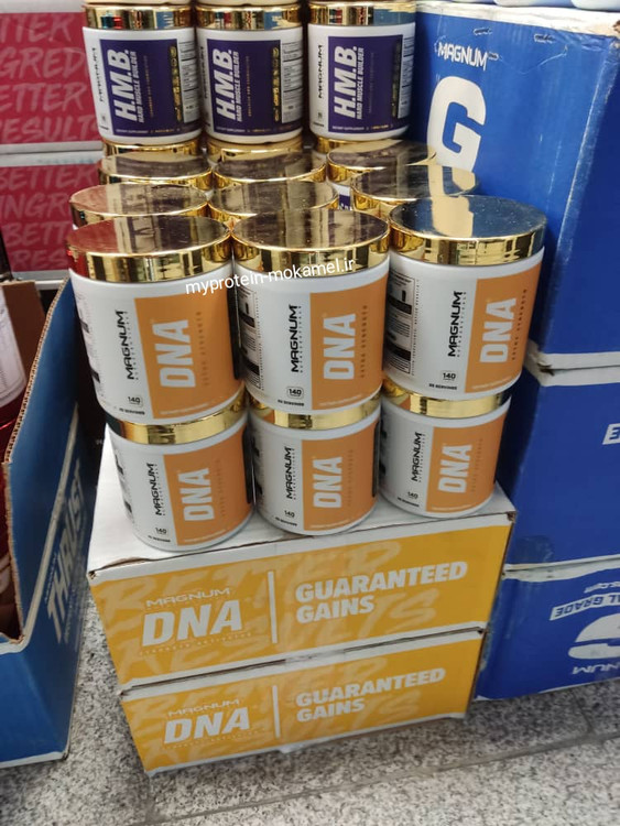 دی ان آ مگنومMagnum DNA